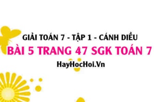 Giải bài 5 trang 47 Toán 7 Tập 1 SGK Cánh Diều